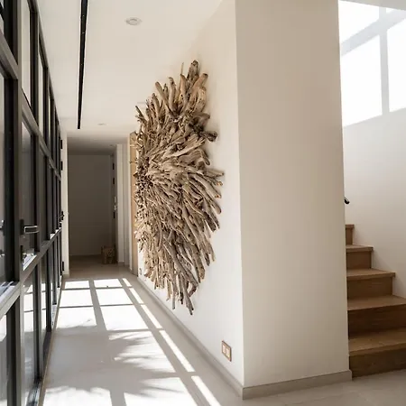 Belier, Pampelonne *